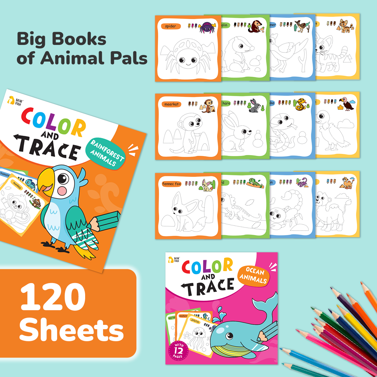 Color and Trace Coloring Book - Animals