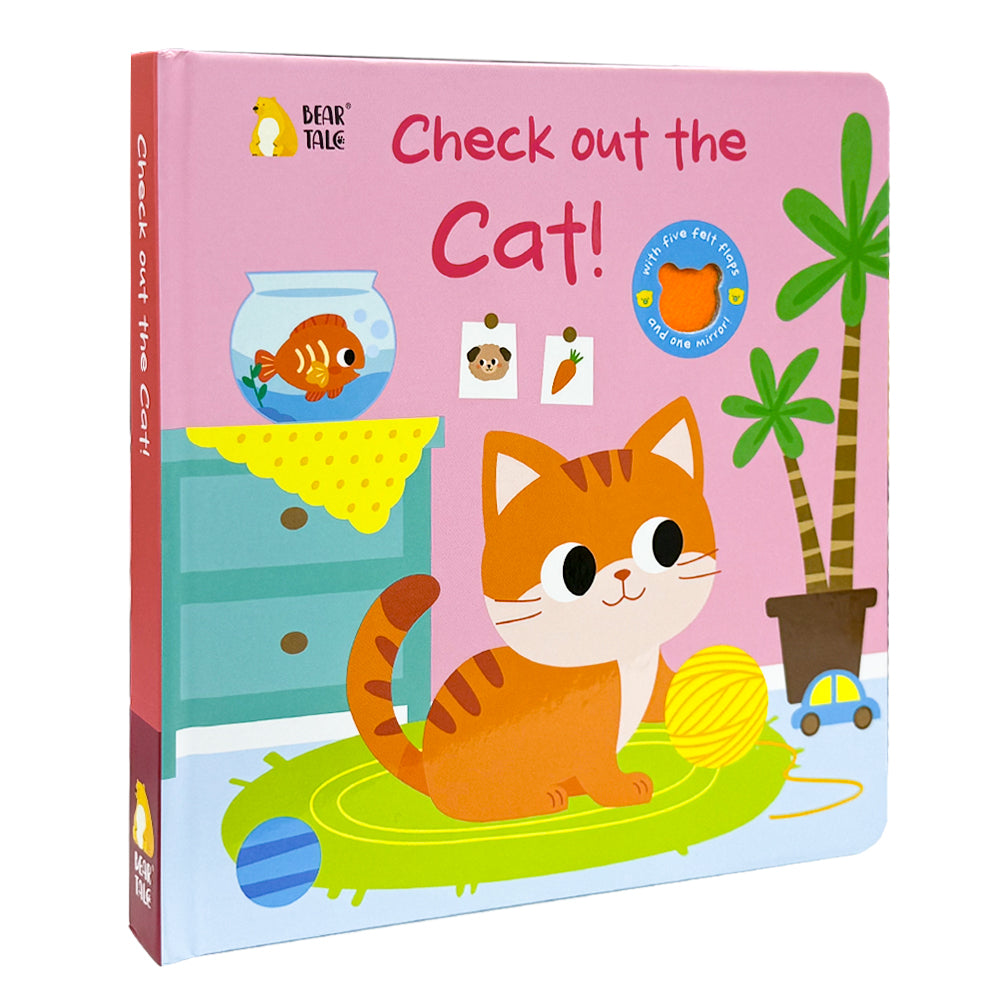 Check Out the Cat ! - Life the Flap Book
