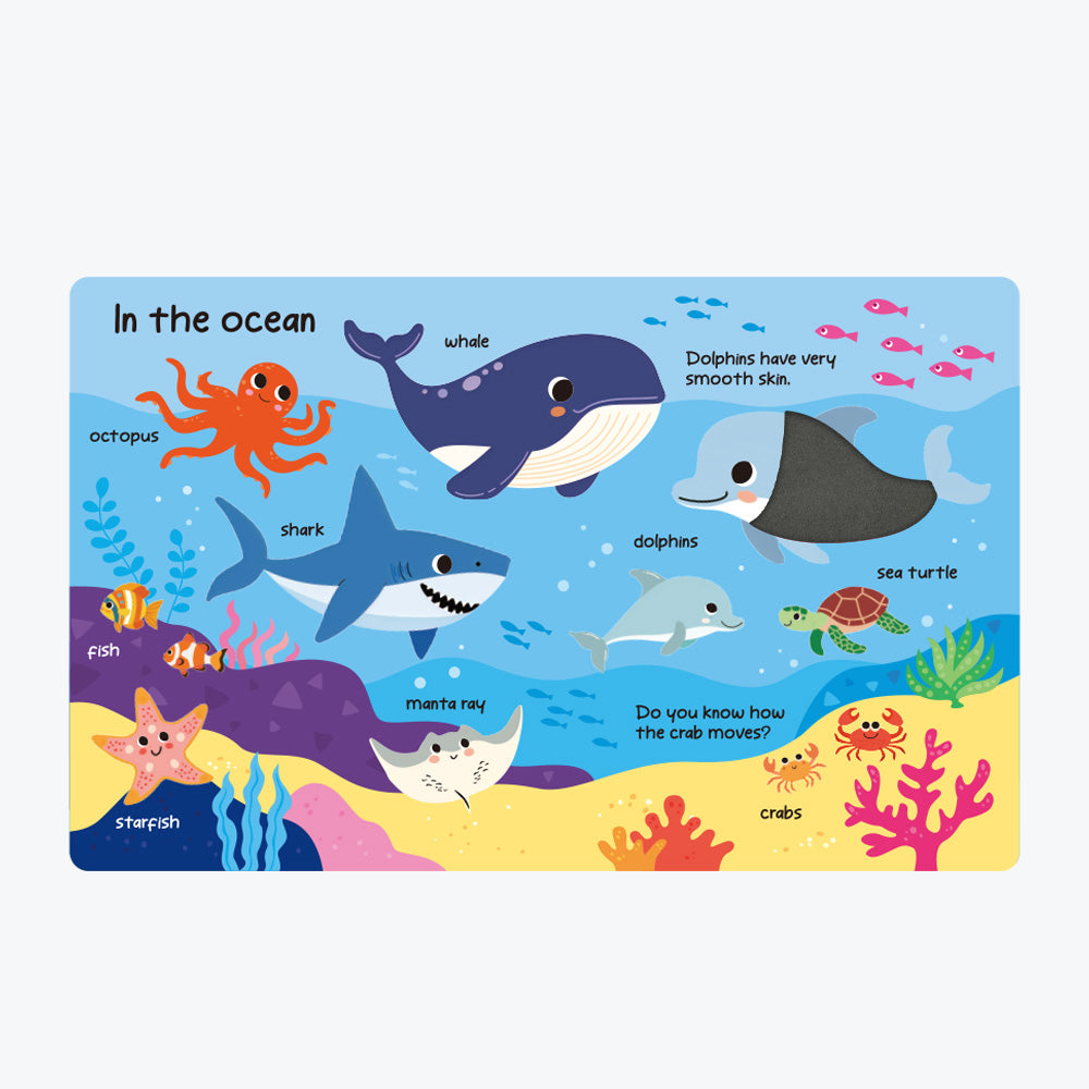 ANIMALS TOUCH AND FEEL Board Book