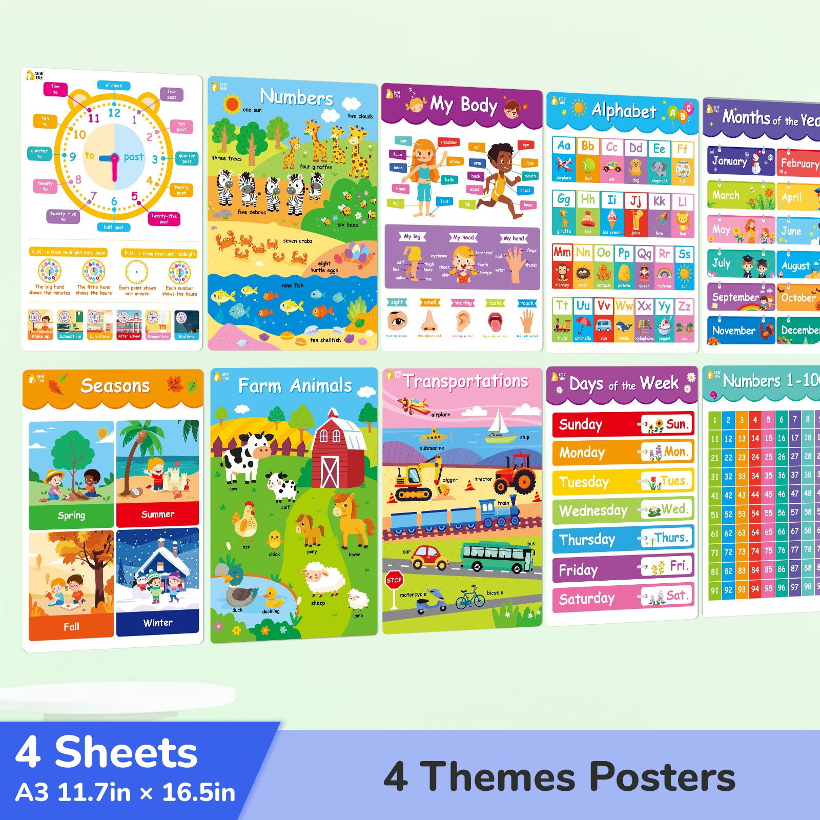 Educational Poster - My Body, Feelings, Farm Animals, Transportations