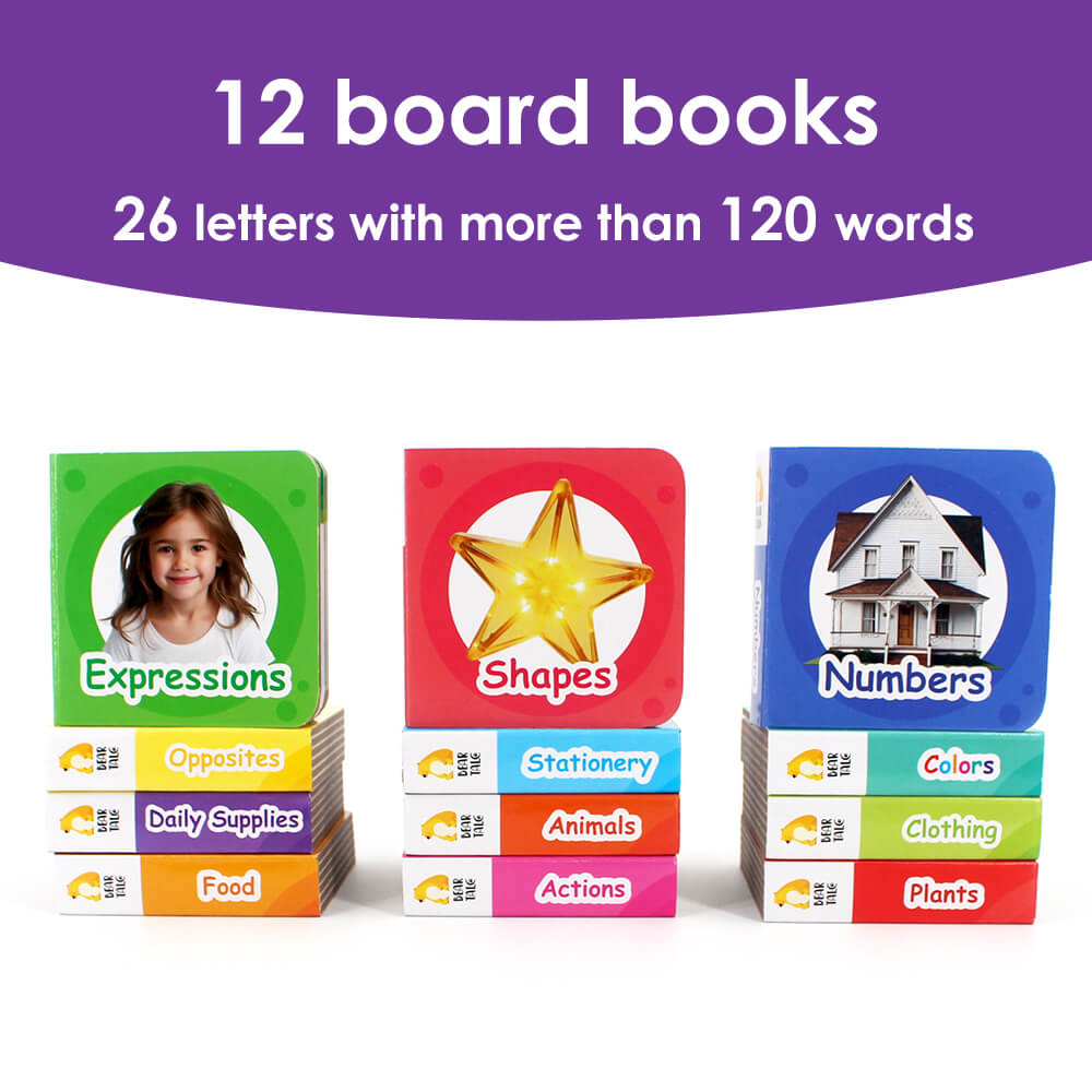 Numbers, Colors, Shapes, Animals, Food Set of 12 (Broad Books)