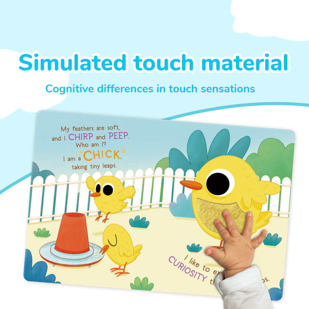 HANDS ON THE PETS Board Book | BearTale × Claudia Favilli