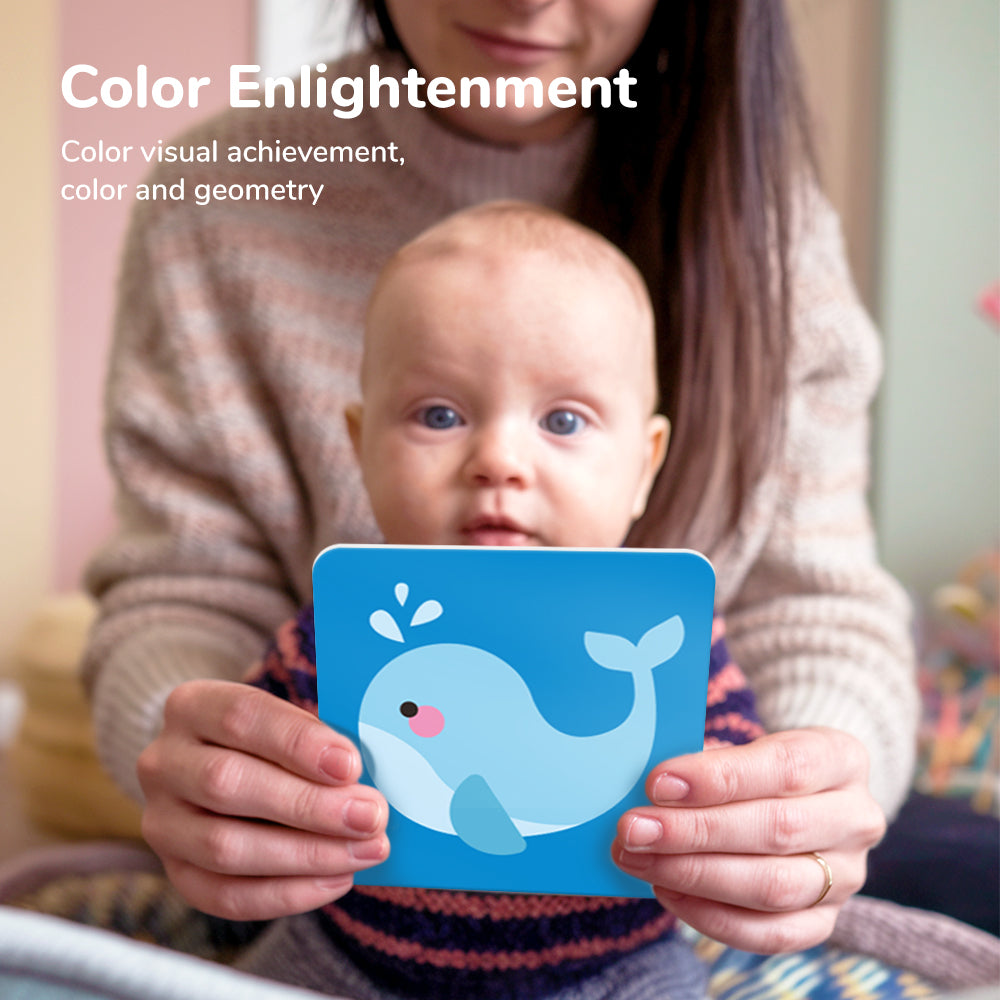 Colorful Learning Cards