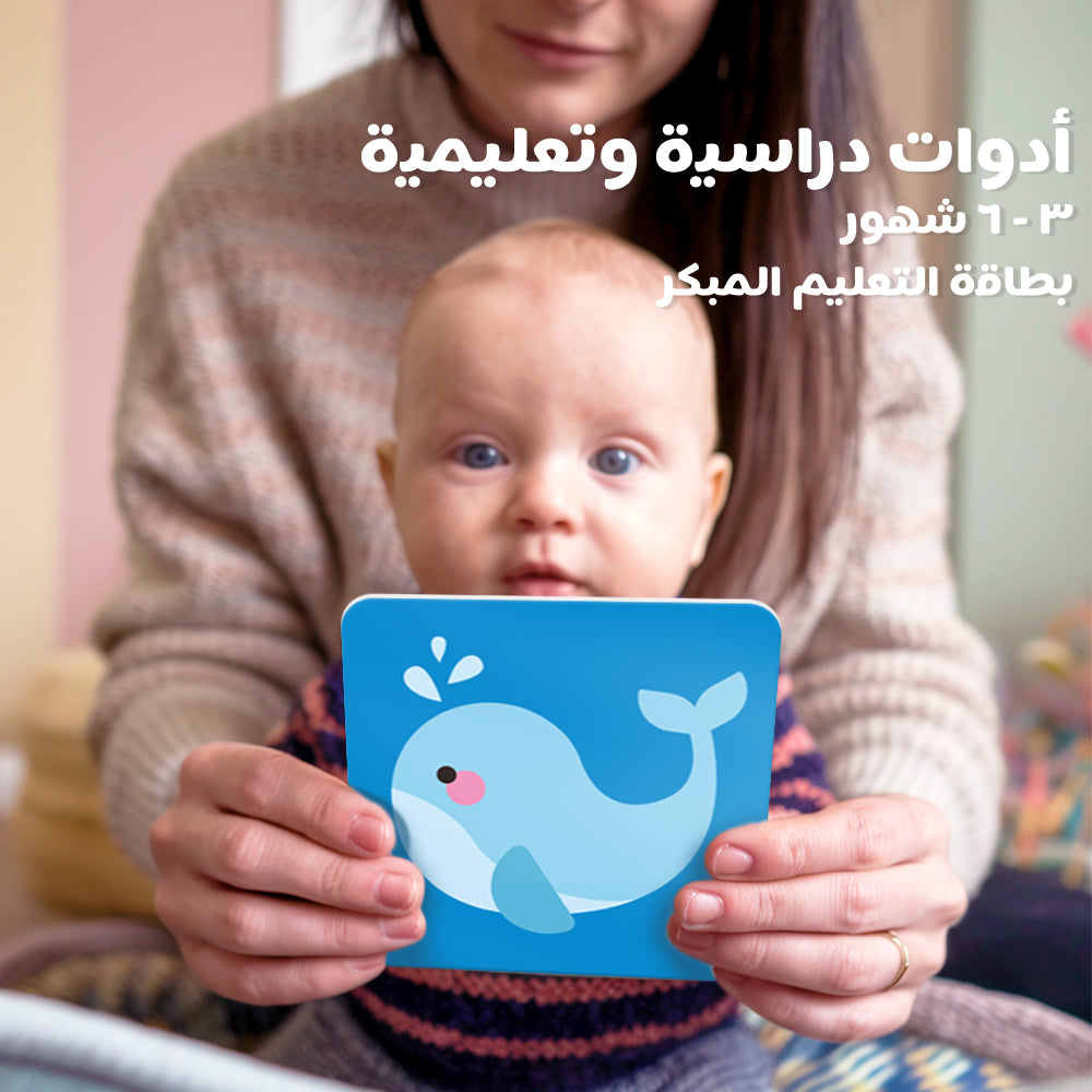 Arabic Colorful Learning Cards