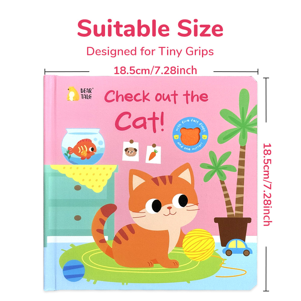 Check Out the Cat ! - Life the Flap Book
