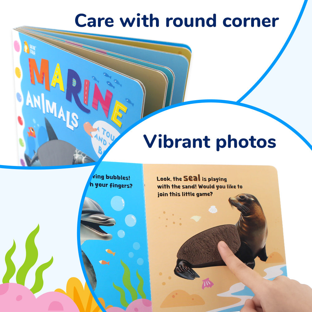 Marine Animals - Touch and Feel Book