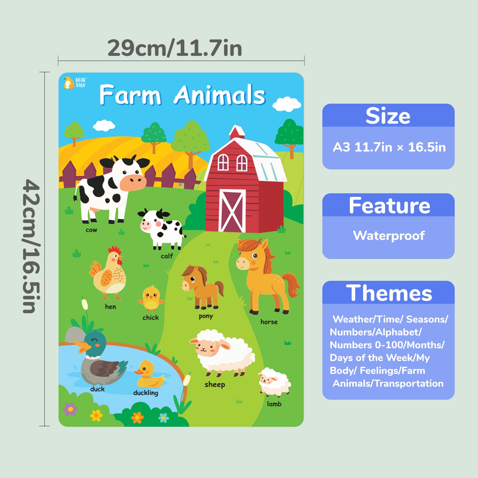 Educational Poster - My Body, Feelings, Farm Animals, Transportations