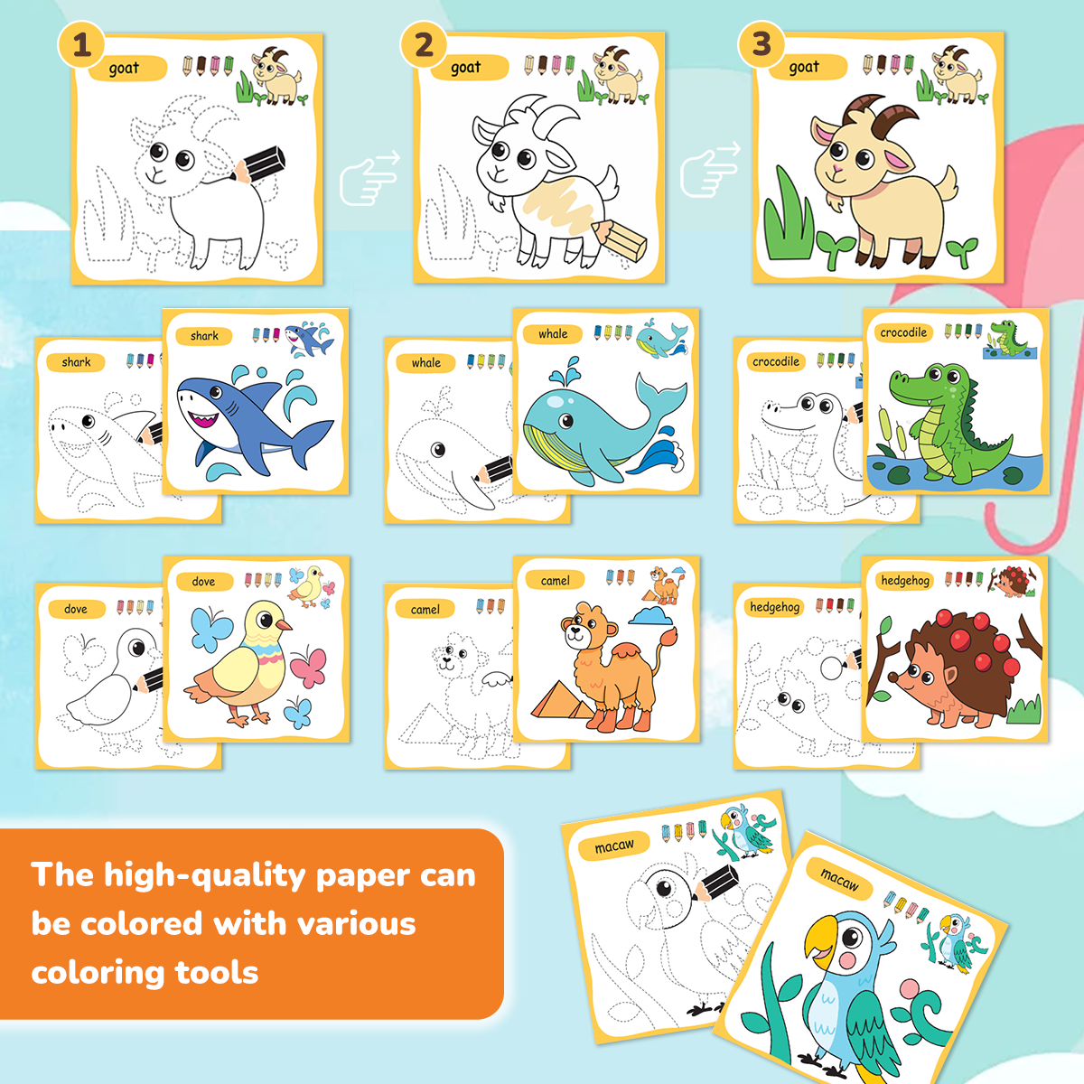 Color and Trace Coloring Book - Animals