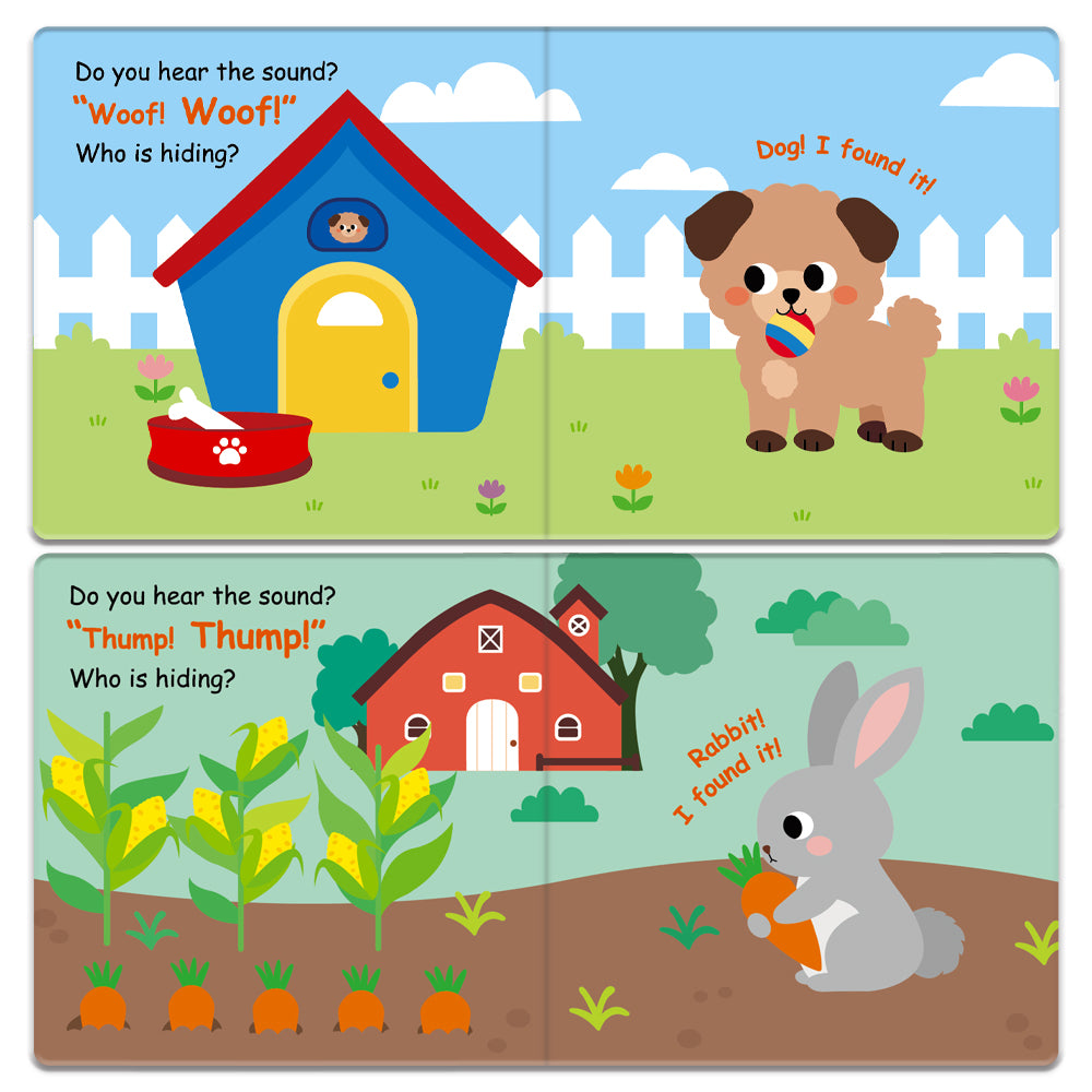 Check Out the Cat ! - Life the Flap Book