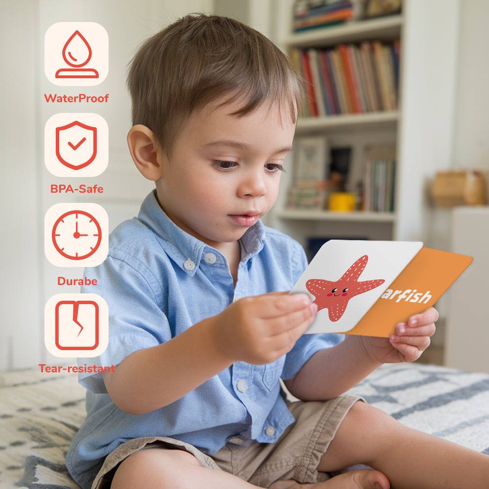 Cartoon Animal Flash Card