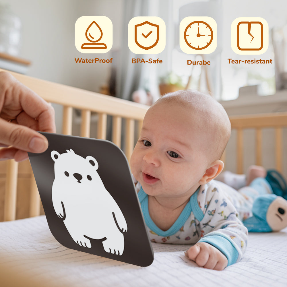 Black & White Learning Cards