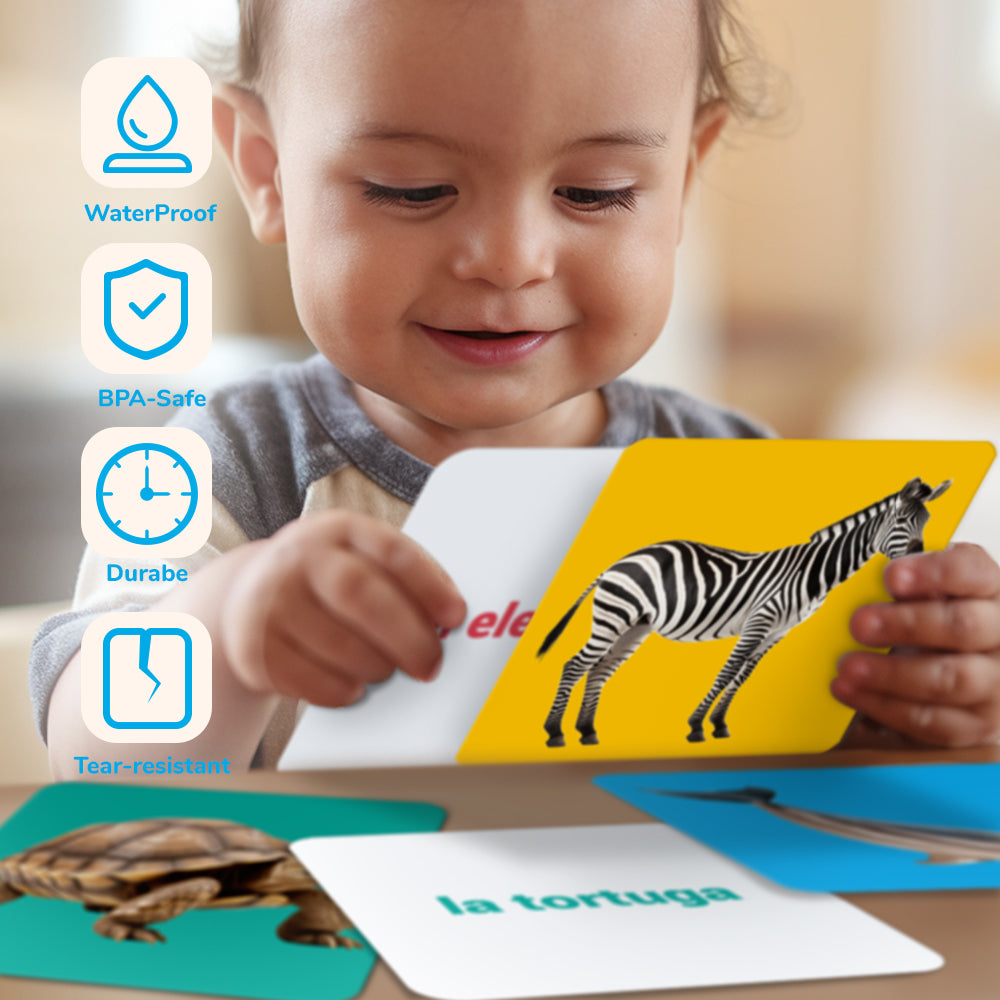 Spanish Animals Flash Card