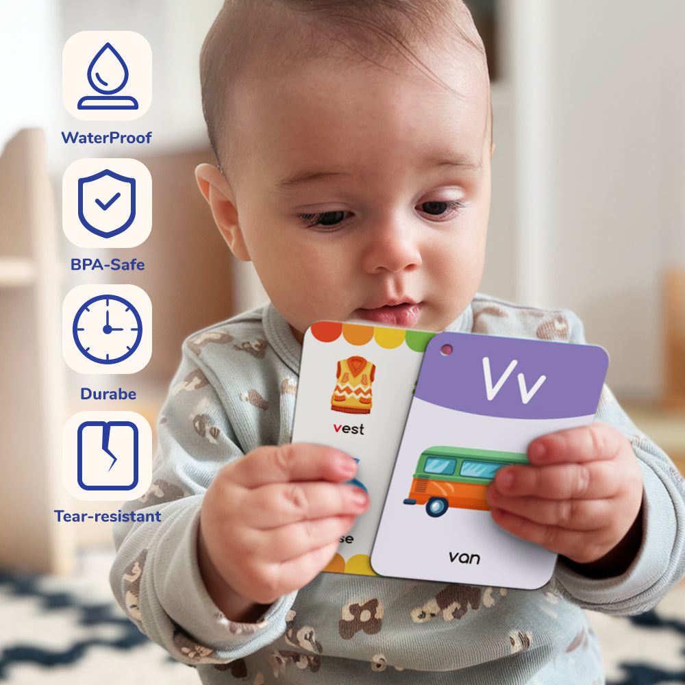 Letter & Words Flash Cards