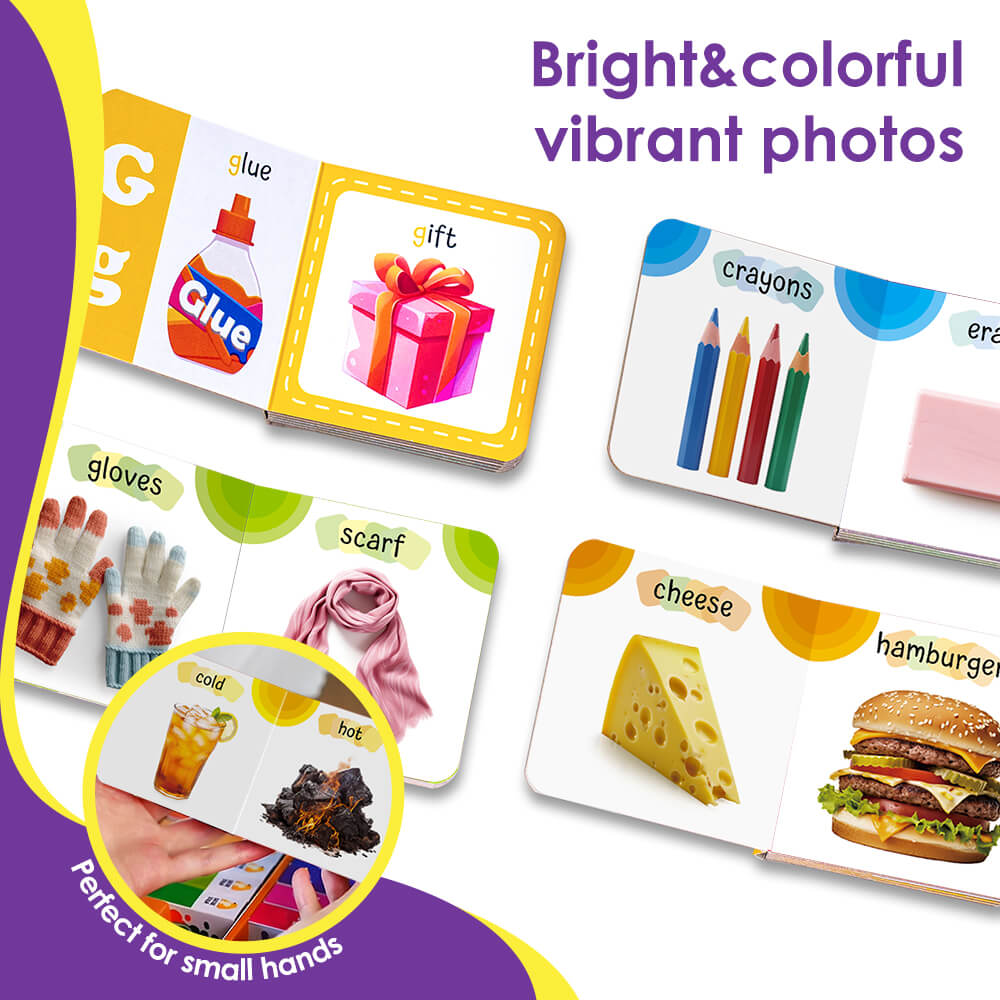 Numbers, Colors, Shapes, Animals, Food Set of 12 (Broad Books)