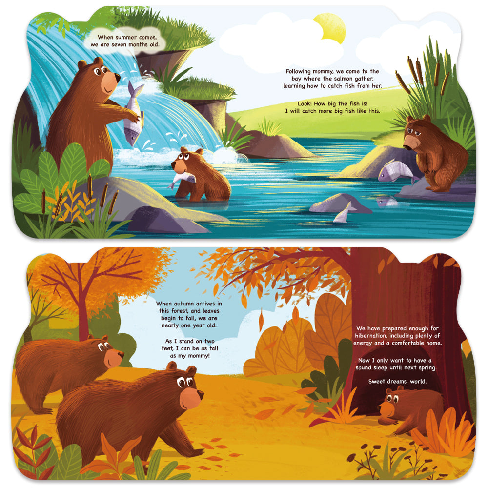 My FIrest Year of Baby Bear BearTale × Irina De Assuncao