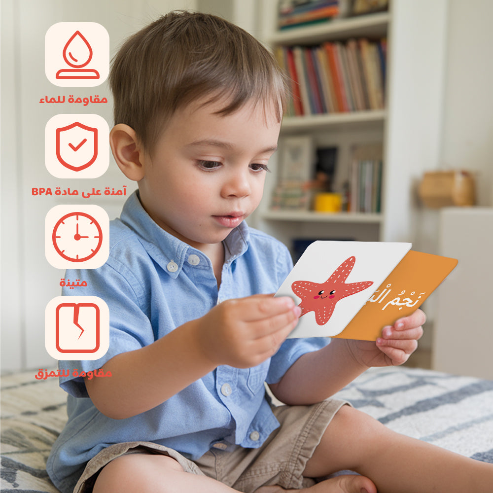 Arabic Cartoon Animal Flash Card