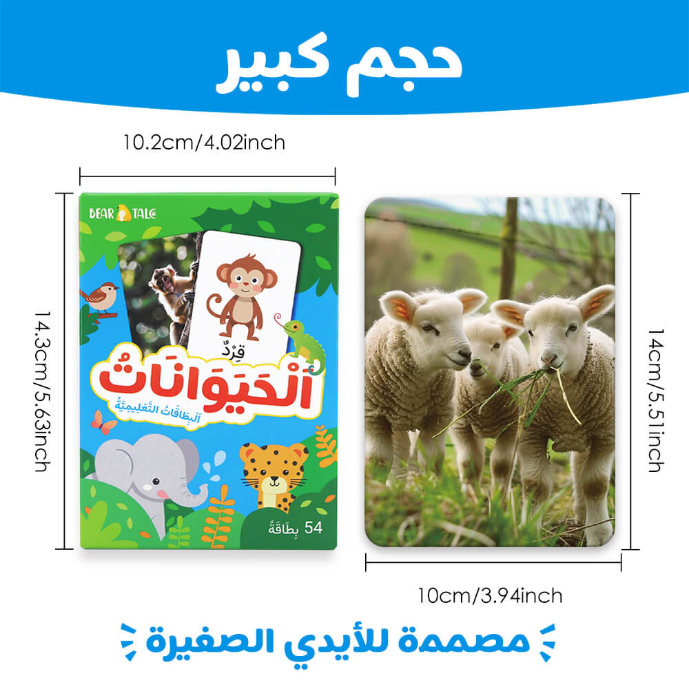 ANIMALS 54 Flash Cards (Arabic)