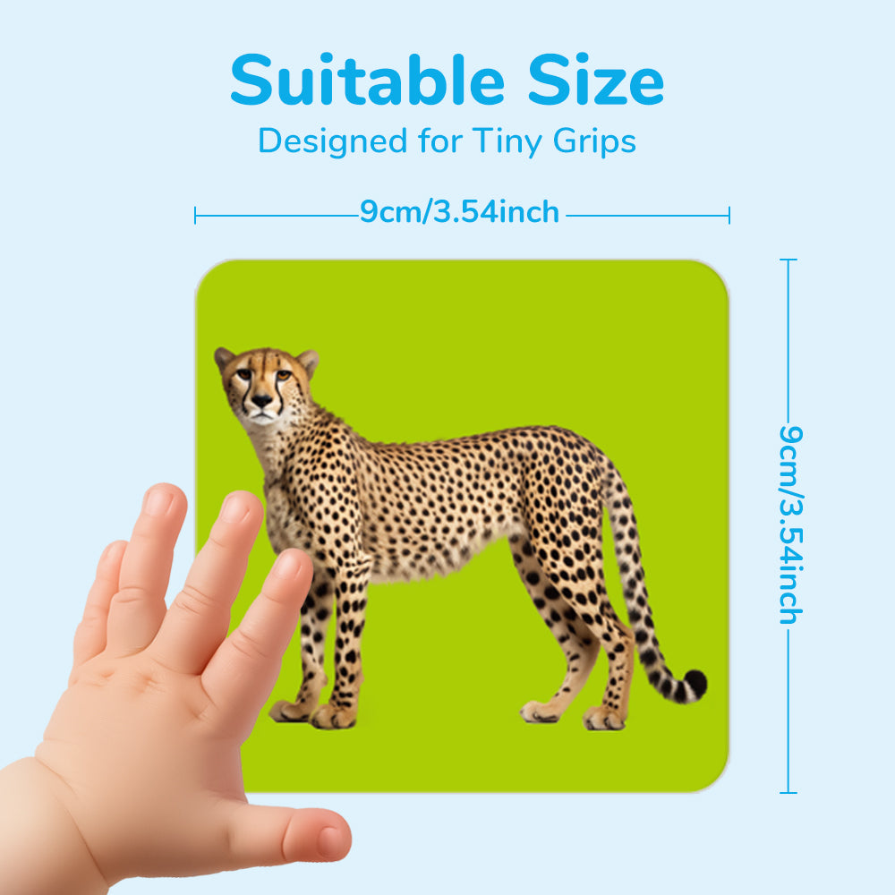 Spanish Animals Flash Card
