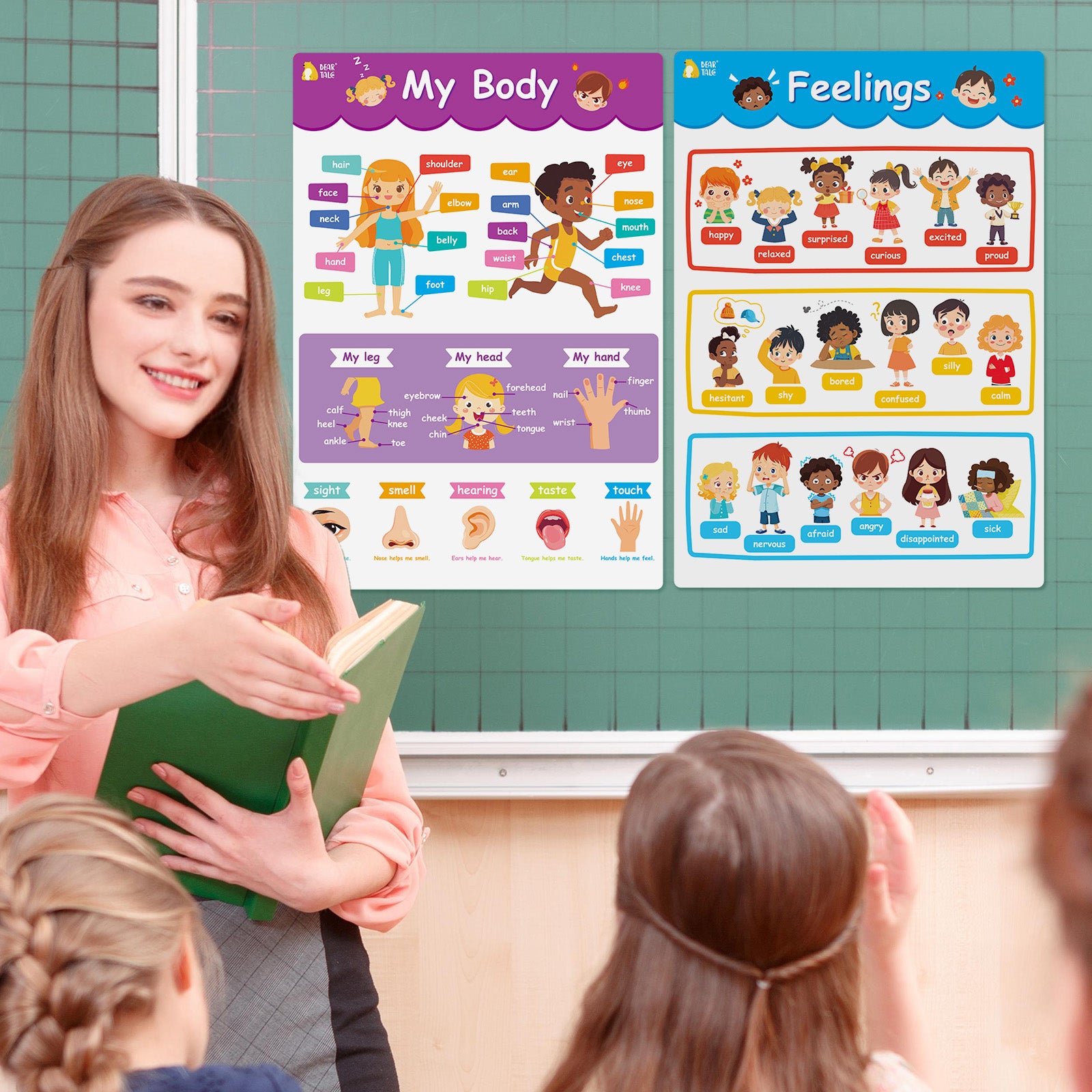 Educational Poster - My Body, Feelings, Farm Animals, Transportations