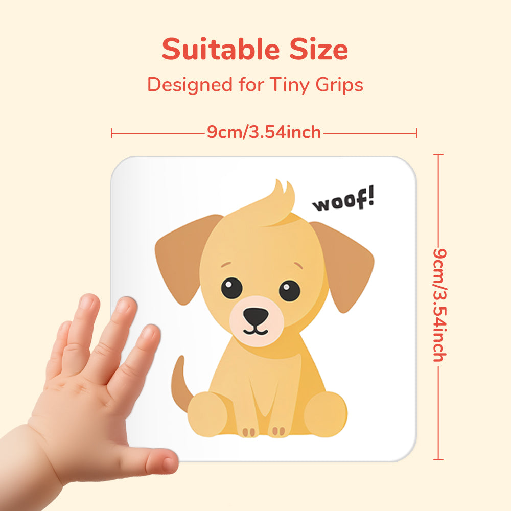 Cartoon Animal Flash Card