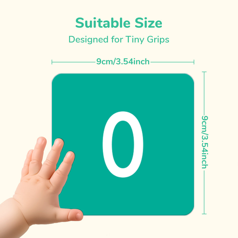 ABC & 123 Flash Card