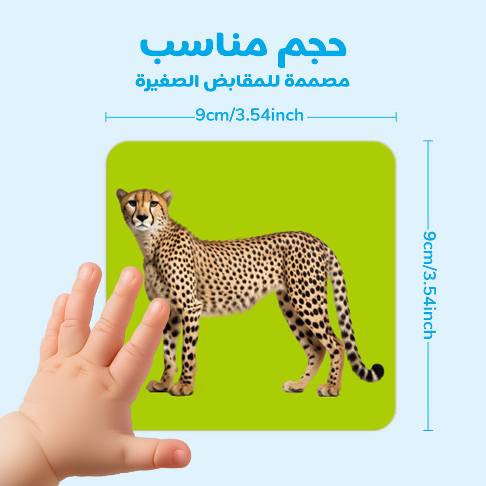 Arabic Animals Flash Card