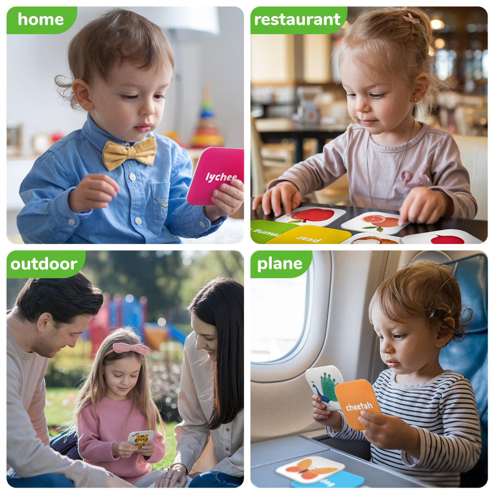 Basic Cognition Flash Card