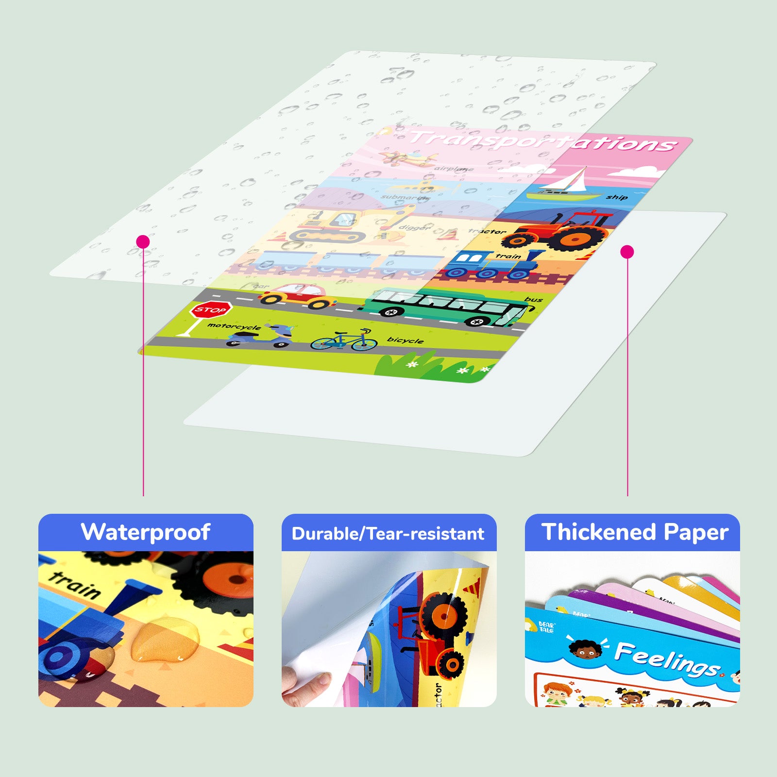 Educational Poster - My Body, Feelings, Farm Animals, Transportations