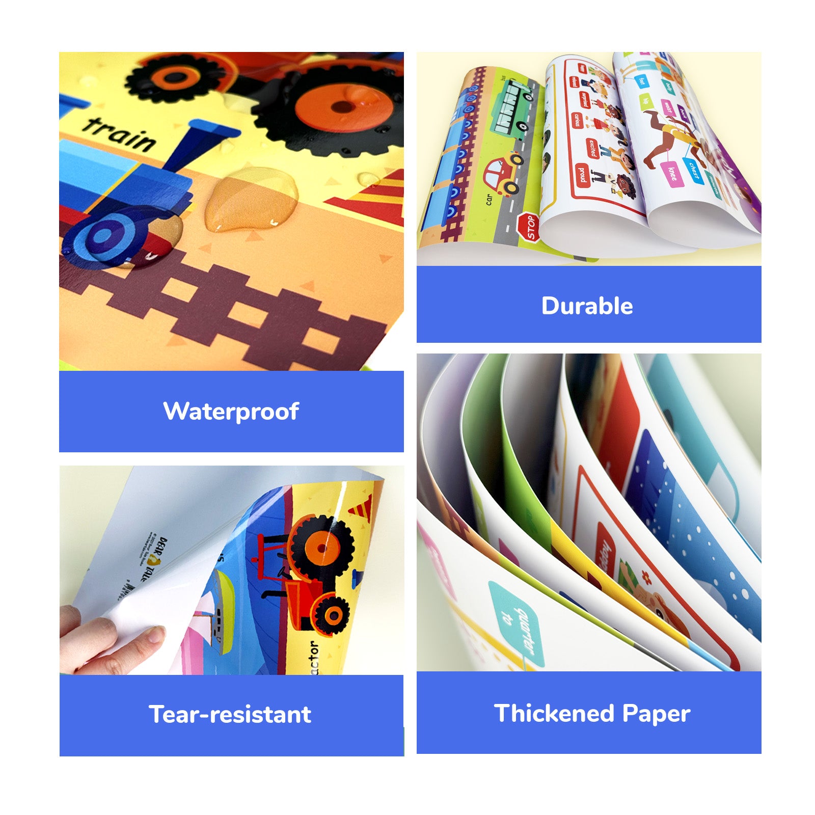 Educational Poster - My Body, Feelings, Farm Animals, Transportations