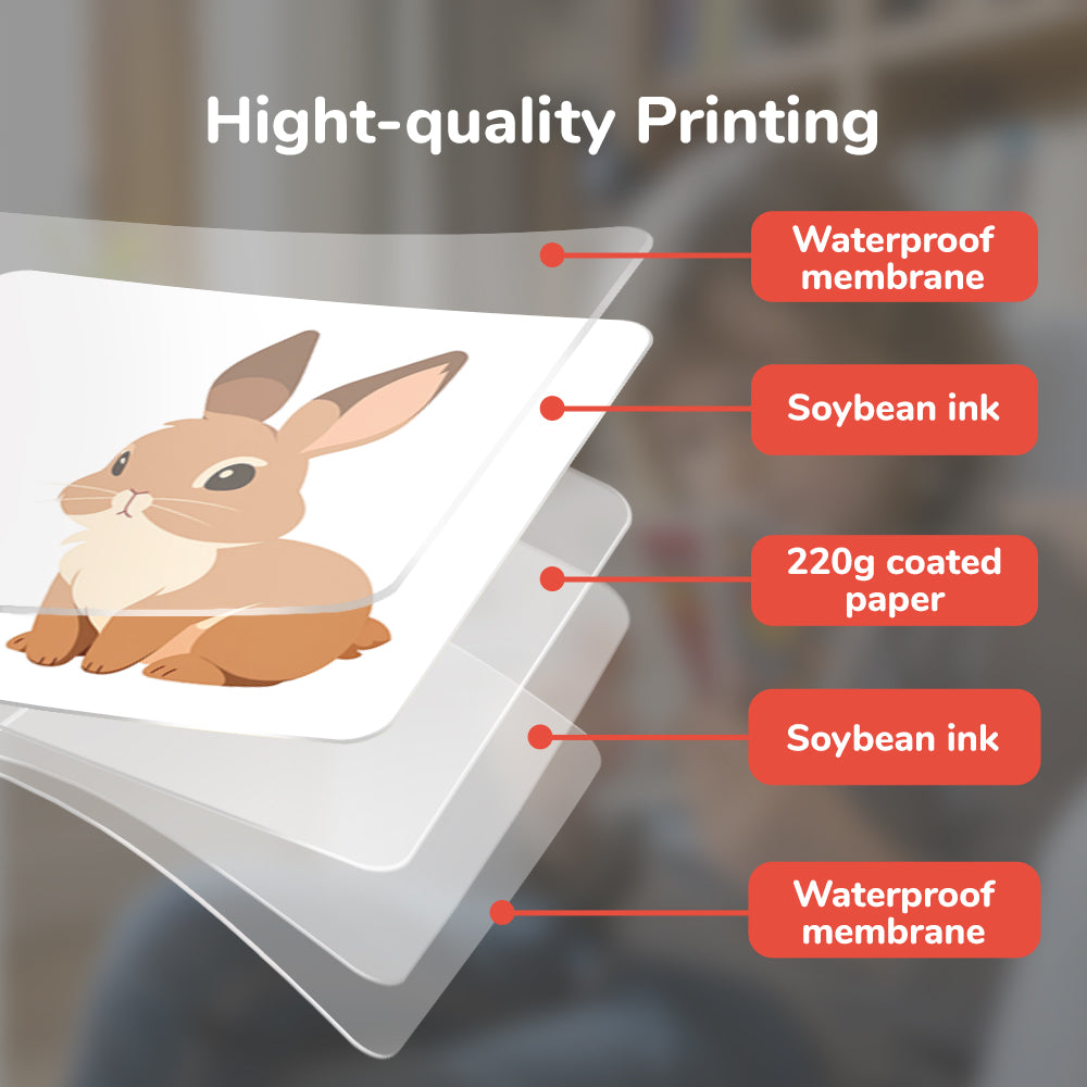 Cartoon Animal Flash Card