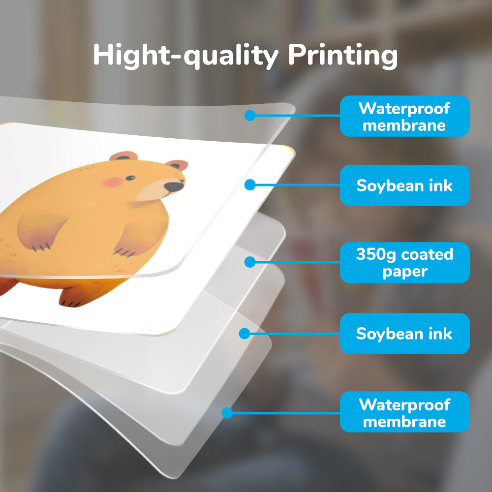 Basic Cognition Flash Card