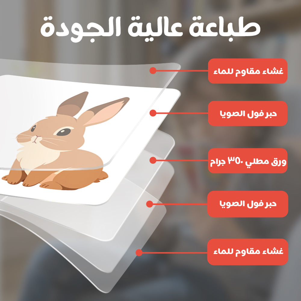 Arabic Cartoon Animal Flash Card