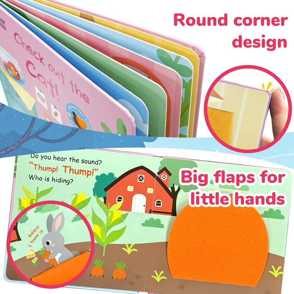 Check Out the Cat ! - Life the Flap Book