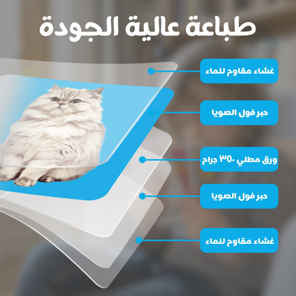 Arabic Animals Flash Card
