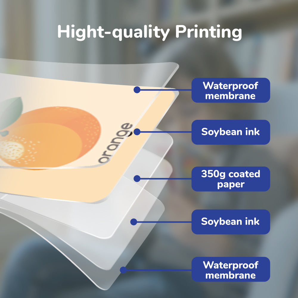 Letter & Words Flash Cards