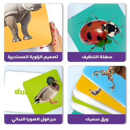 Arabic Numbers 0-100