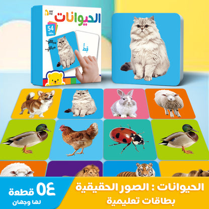 Arabic Animals Flash Card