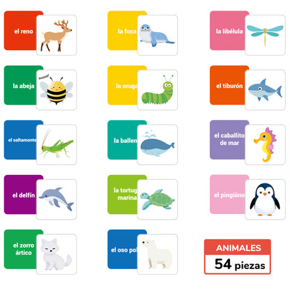 Spanish Cartoon Animals Flash Card