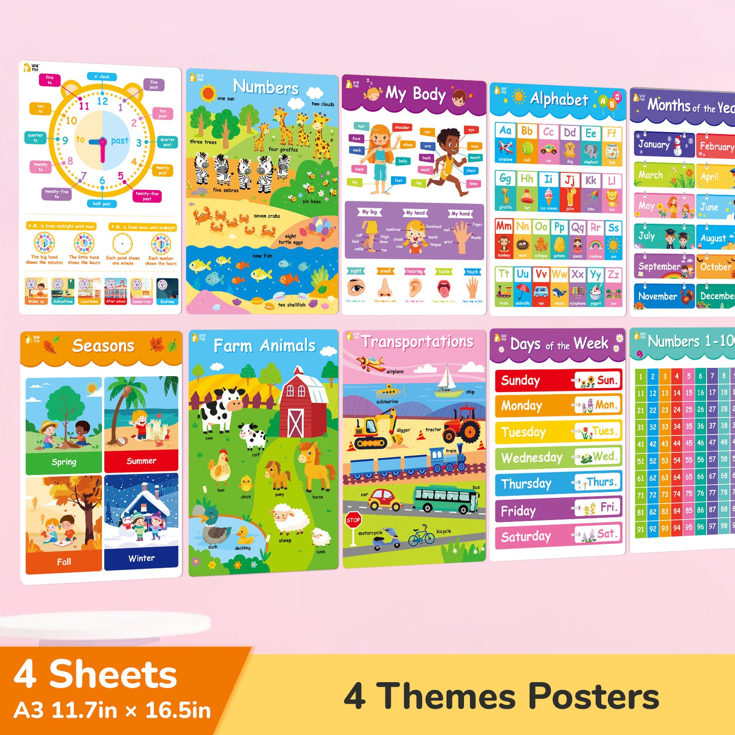 Educational Poster - Alphabet,Number 0-100, 0-12 Months, Days
