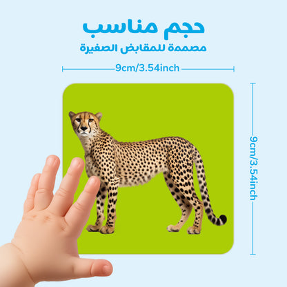 Arabic Animals Flash Card